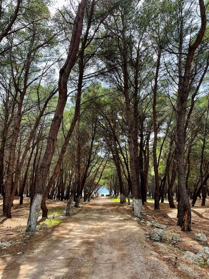 Villa Roel 1 Apartments Nr 88 Vlorë エクステリア 写真